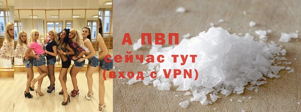 гашик Абинск