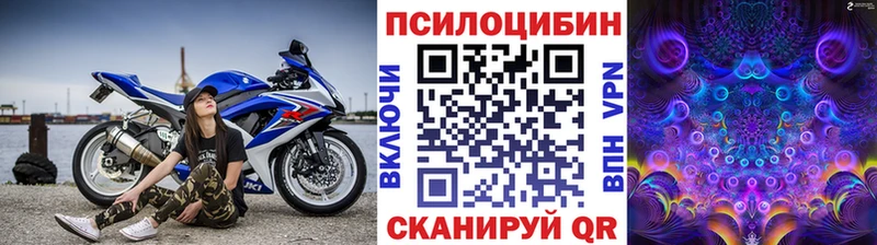 Псилоцибиновые грибы Psilocybe  Чекалин 